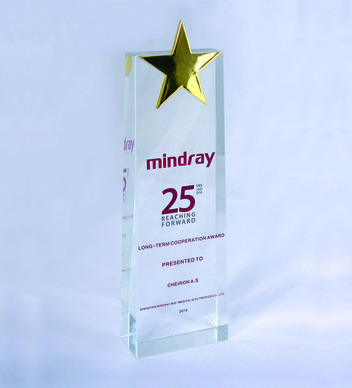 Mindray Long-Term Cooperation Award 2015